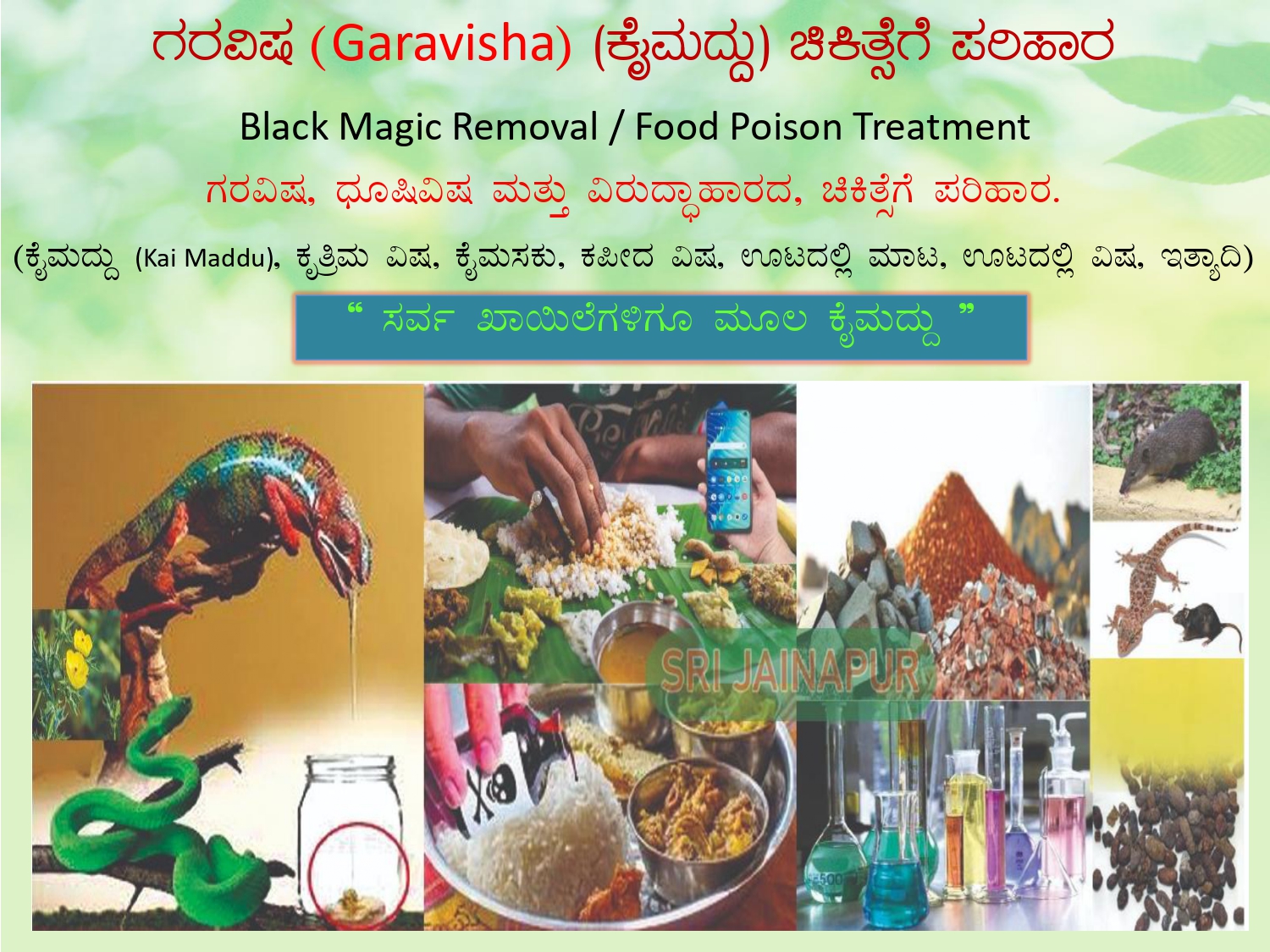 Foundation of Agada Tantra 2