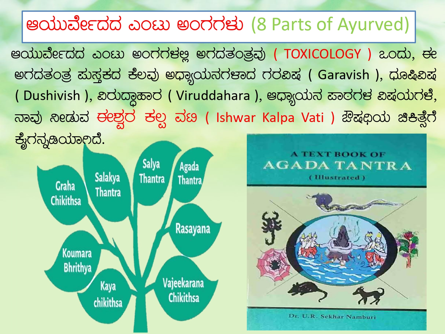 Foundation of Agada Tantra 3