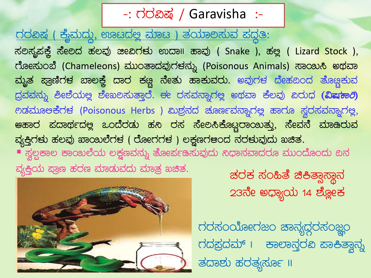 Foundation of Agada Tantra 4