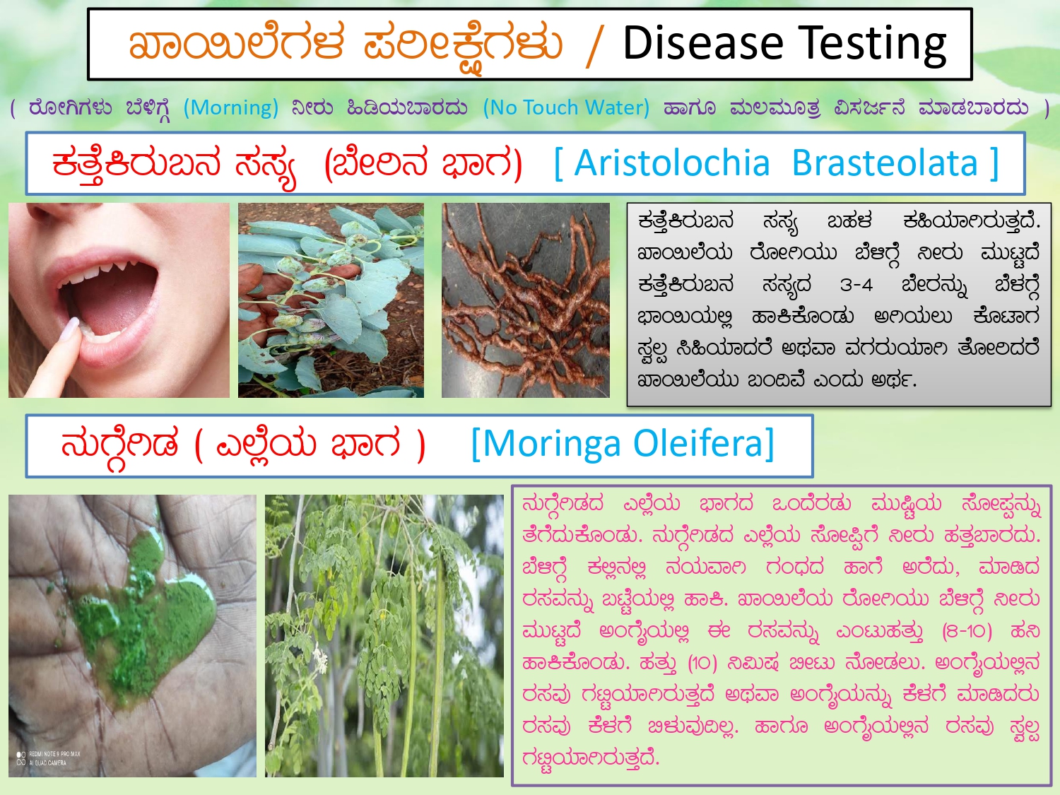 Garavisha vs Dushivisha 3