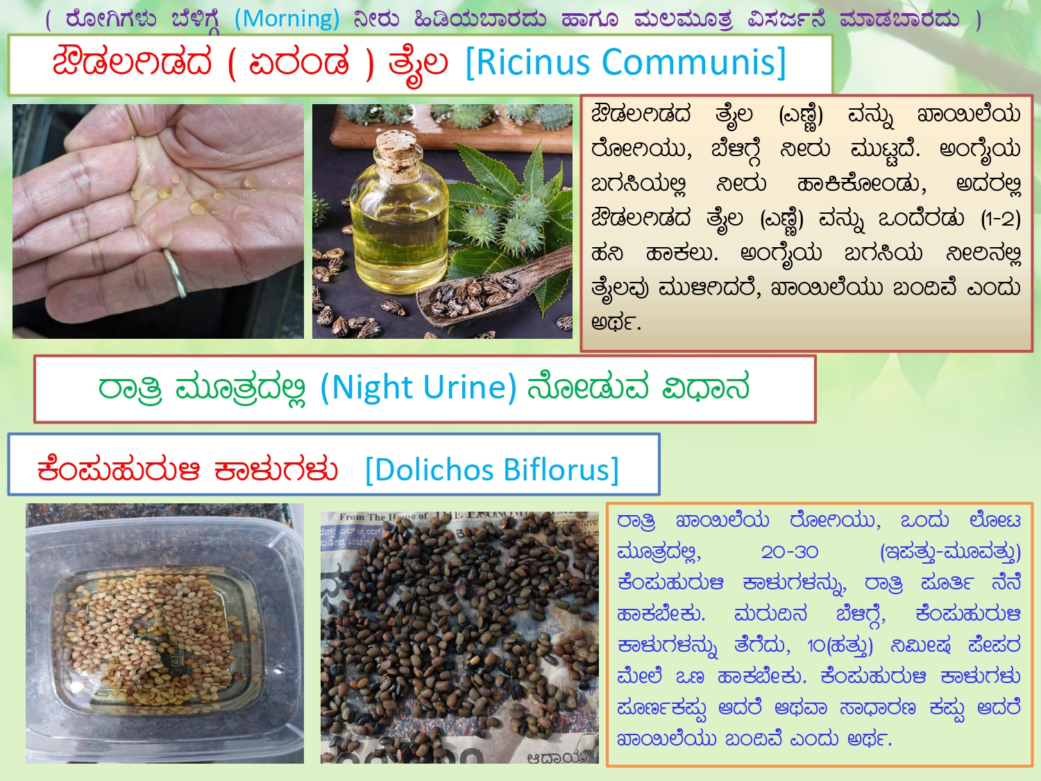 Garavisha vs Dushivisha 4