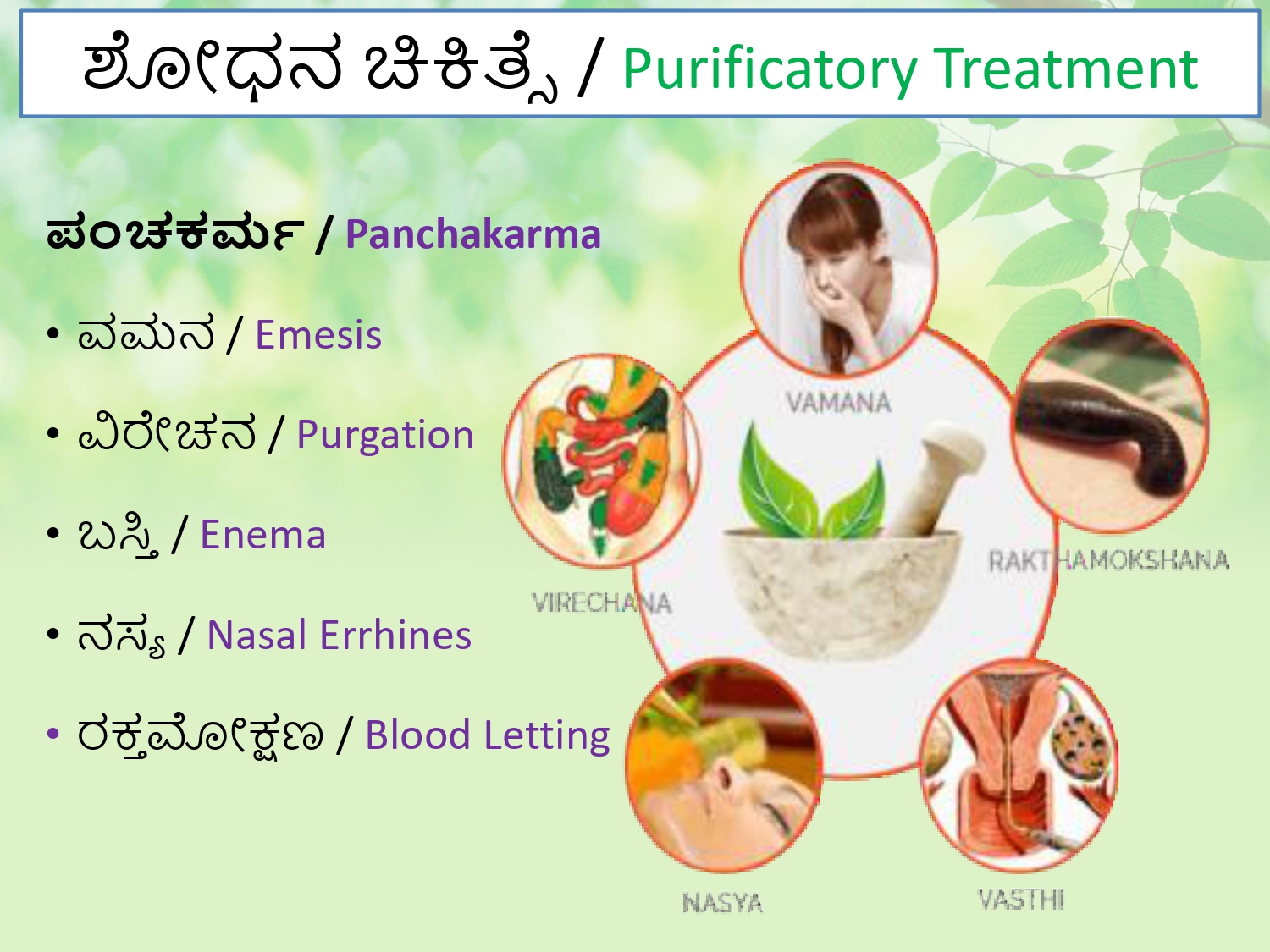 Garavisha vs Dushivisha 6